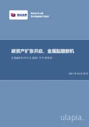 金属&新材料行业2021年中期策略：碳资产扩张开启，金属酝酿新机