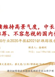 CXO行业2020年报&2021Q1跟踪报告：CXO行业继续维持高景气度，中长期继续战略性推荐、不容忽视的国内强β