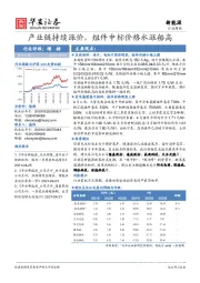 新能源行业周报：产业链持续涨价， 组件中标价格水涨船高