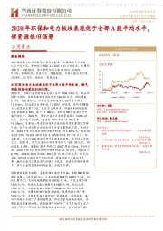 公用事业行业：2020年环保和电力板块表现优于全部A股平均水平，锂资源依旧强势