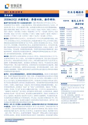 餐饮旅游行业专题报告：2020&21Q1业绩综述：涤荡旧相，振作新机