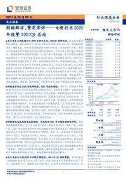 电新行业2020年报暨2021Q1总结：荆棘鲜有，繁花常伴