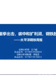 钢铁周报：降产量或重拳出击，碳中和扩利润，钢铁股有长逻辑