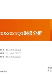 医药行业2020&2021Q1财报分析