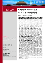 电新行业2020年年报与2021年一季报综述：新能源发电行业高景气兑现