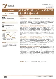 互联网传媒行业专题：社区电商专题（一）：从兴盛优选看社区电商的未来