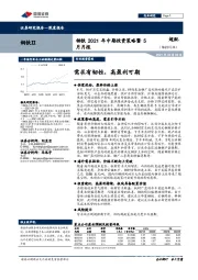 钢铁2021年中期投资策略暨5月月报：需求有韧性，高盈利可期