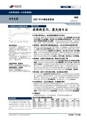 家用电器2021年中期投资策略：夜阑新星闪，霞光待日出