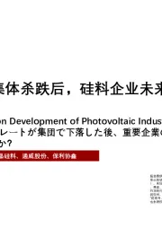 2021年光伏板块集体杀跌后，硅料企业未来发展前景几何？