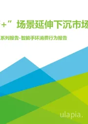 “下沉”专题系列报告-智能手环消费行为报告：“健康+”场景延伸下沉市场