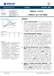 新能源汽车行业2021年度中期策略：智能电动，车行未来