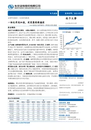 光伏行业年报及一季报总结及展望：一体化布局加速，逆变器高歌猛进