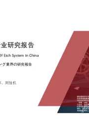 2021年中国刻蚀机行业研究报告