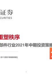 汽车与汽车零部件行业2021年中期投资策略：智能元年 重塑秩序