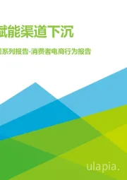 “下沉”专题系列报告-消费者电商行为报告：电商-赋能渠道下沉