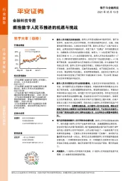 金融科技专题:拥抱数字人民币推进的机遇与挑战