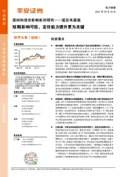 原材料涨价影响系列研究-低压电器篇：短期影响可控，定价能力提升更为关键