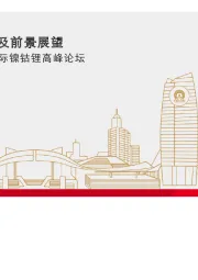 2021（第六届）中国国际镍钴锂高峰论坛：全球锂资源发展现状及前景展望
