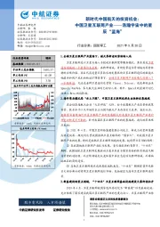 新时代中国航天的投资机会:中国卫星互联网产业-浩瀚宇宙中的星辰“蓝海”