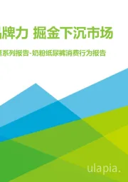 2021年“下沉”专题系列报告-奶粉纸尿裤消费行为报告：强化品牌力 掘金下沉市场