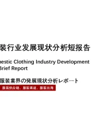 2021年中国国产服装行业发展现状分析短报告
