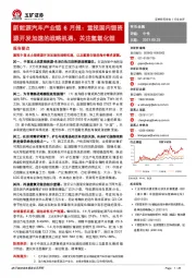 新能源汽车产业链6月报：重视国内锂资源开发加速的战略机遇、关注氢氧化锂