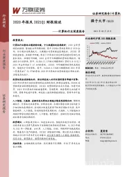 计算机行业深度报告：2020年报及2021Q1财报综述