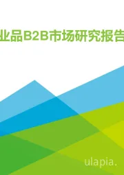 2021年中国工业品B2B市场研究报告