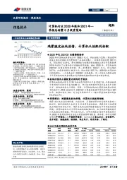 计算机行业2020年报和2021年一季报总结暨6月投资策略：鸿蒙激发板块热情，计算机从低配到标配