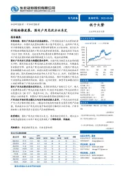 电气设备：补贴助推发展，国内户用光伏方兴未艾