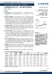 化工行业2021年6月第一周周报：六氟磷酸锂价格大涨，锂电概念持续爆发