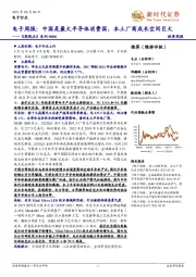 电子行业《周观点》系列：电子周报：中国是最大半导体消费国，本土厂商成长空间巨大