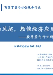 胶原蛋白行业研究报告：胶原蛋白风起，颜值经济应用正当时