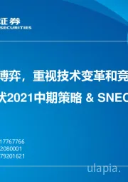 光伏2021中期策略&SNEC观展收获：看淡短期产业博弈，重视技术变革和竞争格局纵横变化