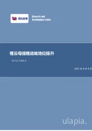 锂行业专题报告：锂云母提锂战略地位提升