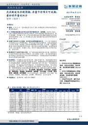 光伏行业点评：光伏新政电价超预期，存量平价项目可延期，看好明年量利双升