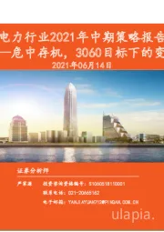 电力行业2021年中期策略报告：危中存机，3060目标下的变局