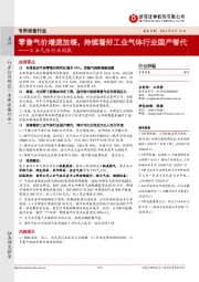 工业气体行业周报:零售气价增速放缓,持续看好工业气体行业国产替代