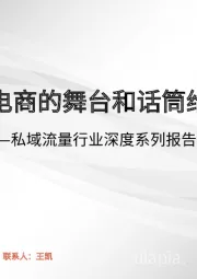 私域流量行业深度系列报告一：交还电商的舞台和话筒给商家