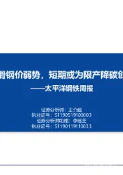 钢铁周报：淡季需求下滑钢价弱势，短期或为限产降碳创造有利条件