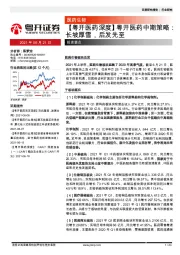 【粤开医药深度】粤开医药中期策略：长坡厚雪，后发先至