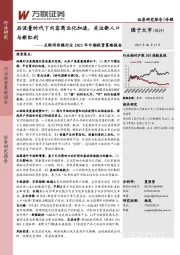 互联网传媒行业2021年中期投资策略报告：后流量时代下内容商业化加速，关注新人口与新红利