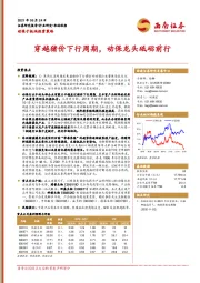 农林牧渔：动保子板块投资策略-穿越猪价下行周期，动保龙头砥砺前行