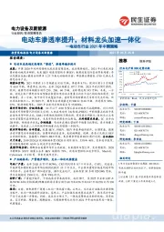 电动车行业2021年中期策略：电动车渗透率提升，材料龙头加速一体化