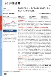 新材料行业周报:尼龙新材料系列一:国产己二腈产业化在即,国内尼龙66行业将迎加速发展