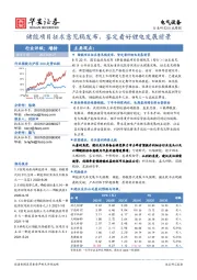 电气设备行业周报：储能项目征求意见稿发布，鉴定看好锂电发展前景