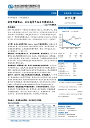 计算机2021年中期策略：疫情阴霾散去，关注高景气细分及赛道龙头