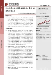 化工行业周观点：利尔化学大幅上调草铵膦报价，聚合MDI继续小幅上行