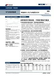 新能源车三电产业观察系列四:材料涨价行情延续,中报有望格外靓丽
