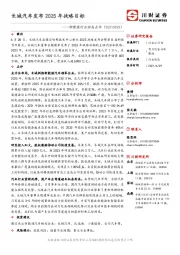 新能源行业动态点评：长城汽车发布2025年战略目标